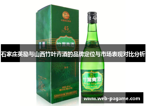 石家庄英励与山西竹叶青酒的品牌定位与市场表现对比分析 石家庄英励与山西竹叶青酒的品牌定位与市场表现对比分析